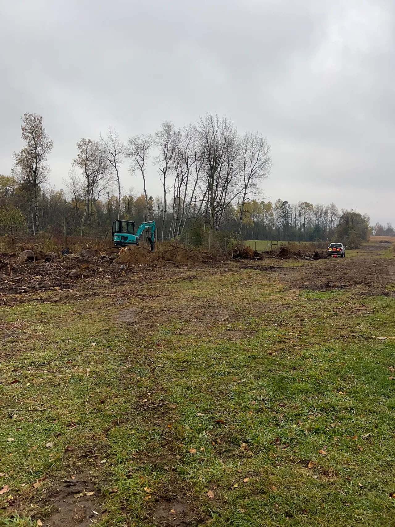 A mini excavator clearing brush and scrub across a rural field