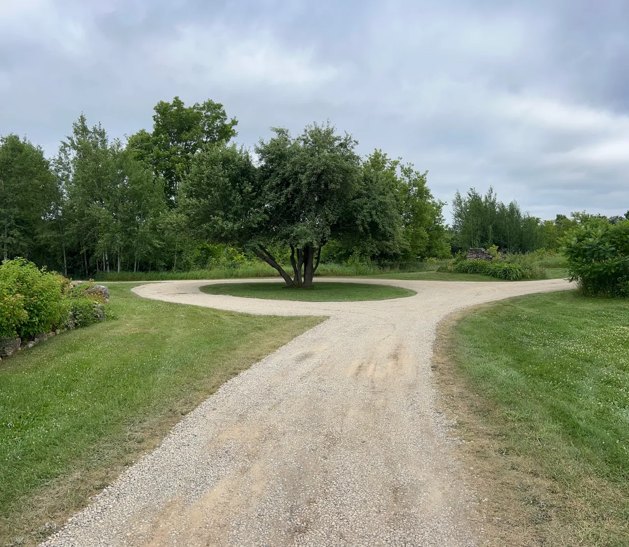 A new circular gravel driveway and turnaround built around a mature tree